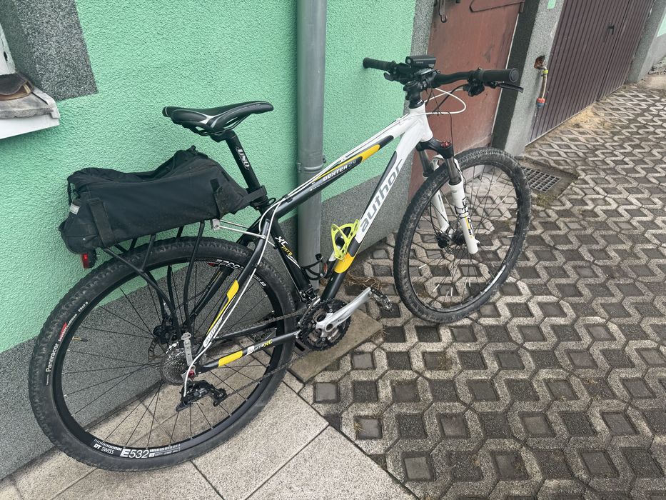 Author Dexster 29er 19