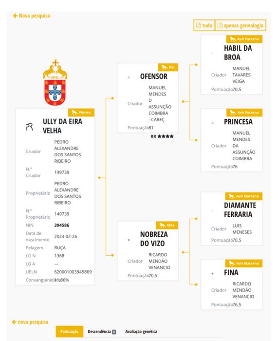 Poldra 2,5 anos lusitana