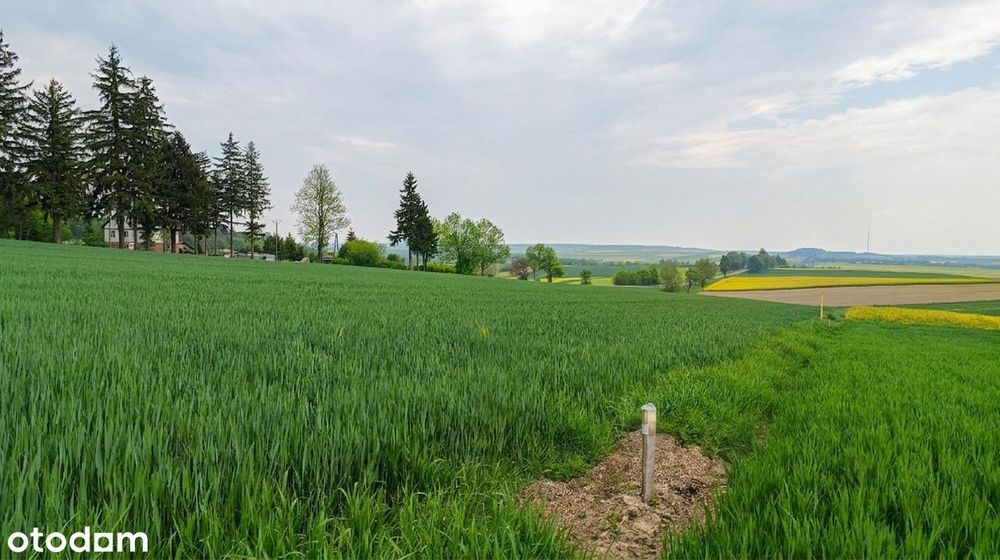 Wspaniała panorama każdego dnia | Działka budowlana 3010 m² Tarnawatka