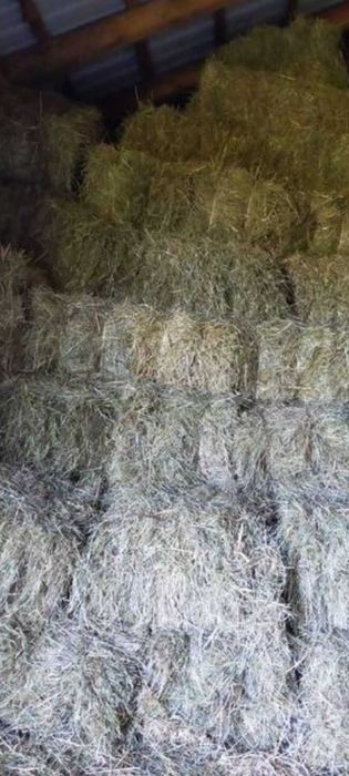 Сіно в тюках доставка
