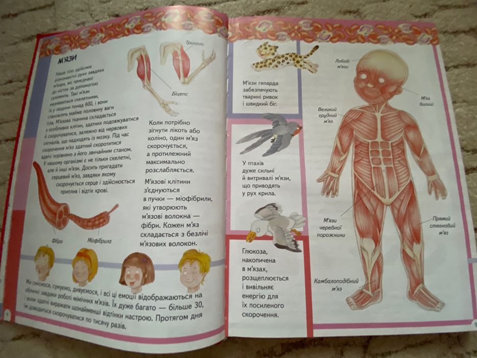 Дитяча книжка: Барзотті Е.  Я і світ довкола мене (2016 р)