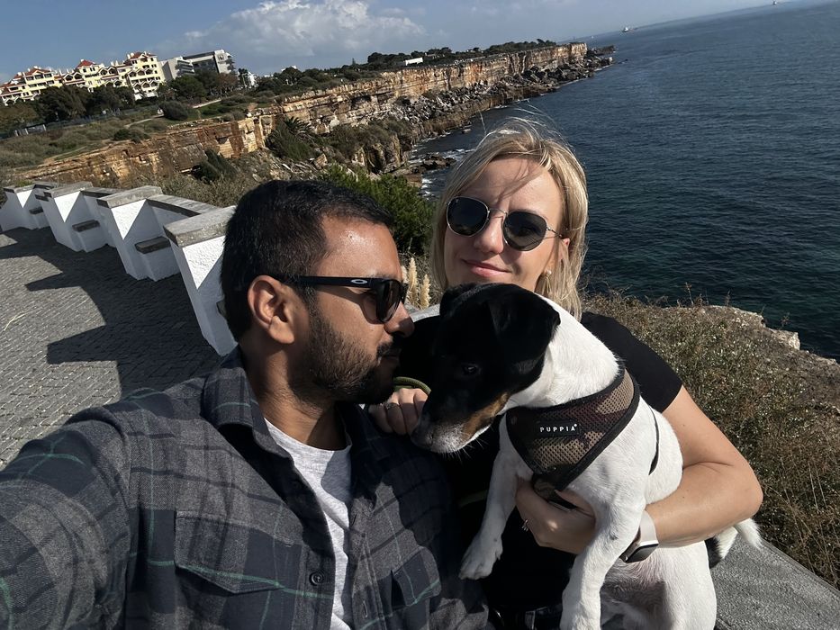 Dog sitting /  Dog boarding