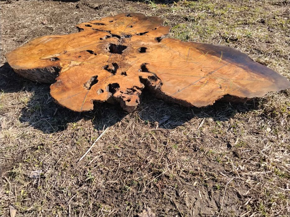 Stół z drewna oliwnego