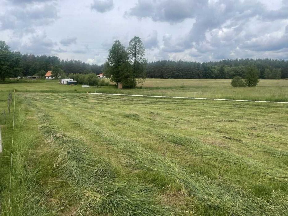 6 km do Jeziora Roś, Zabielne-działka 3 700 m², warunki zabudowy - Widok 5