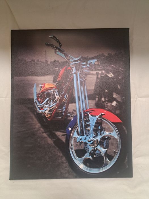 Obraz-fotografia na płótnie  40 x 50