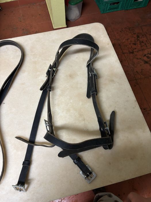 Cabeçada há portuguesa usada 2 vezes