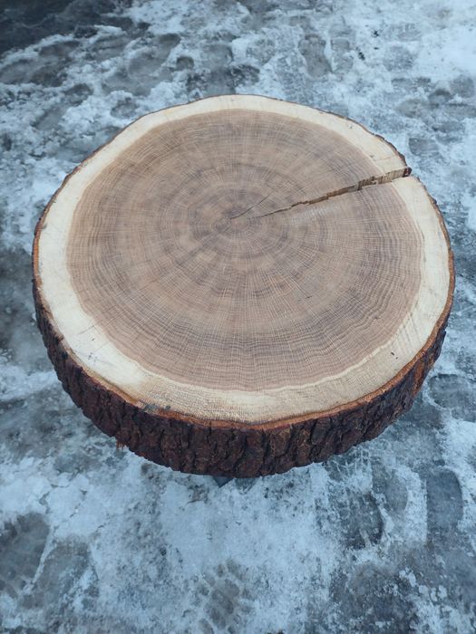 Stolik debowy nowy średnica 60cm gr 10cm wys 60cm