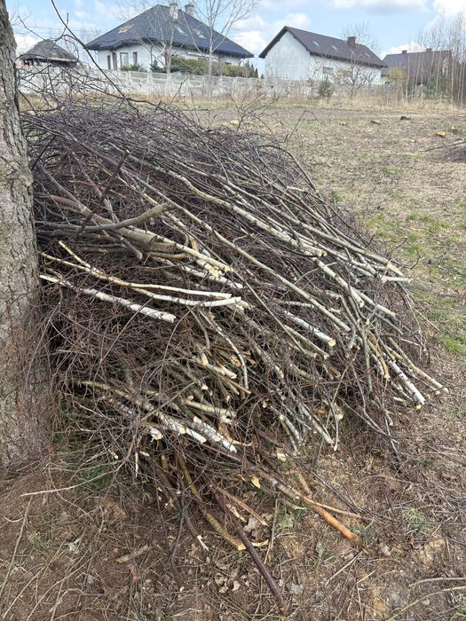 Gałęzie do oddania