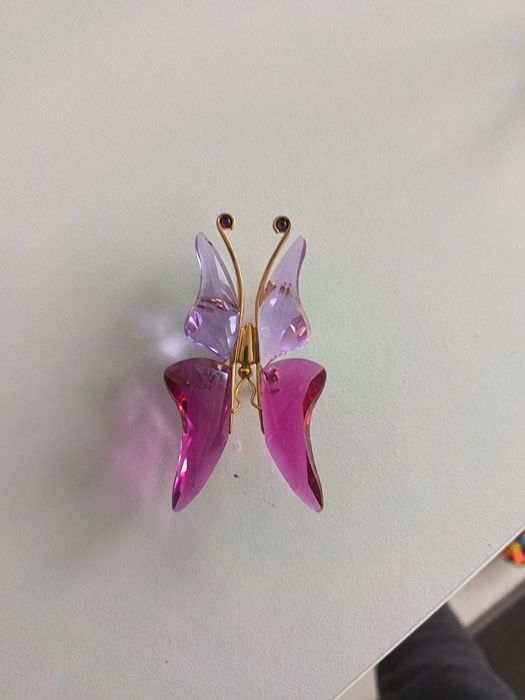 Motyl broszka Svarowski