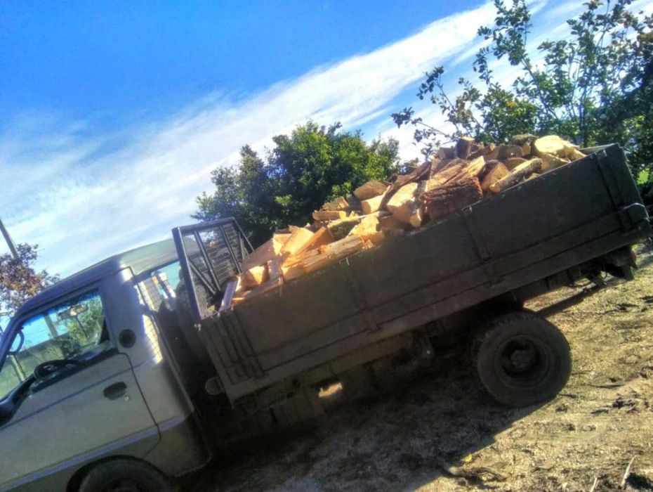 Lenha seca eucalipto