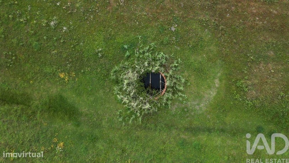 Terreno Agrícola em Vagos e Santo António
