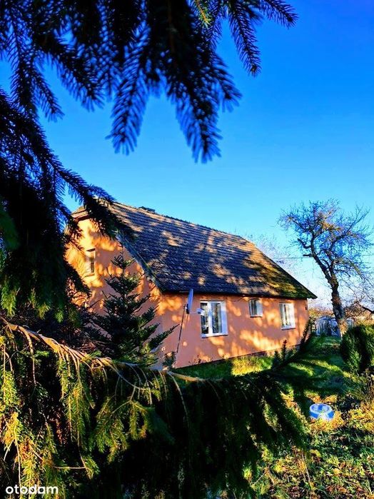 Dom – Wytok, powiat gryficki - Więcej