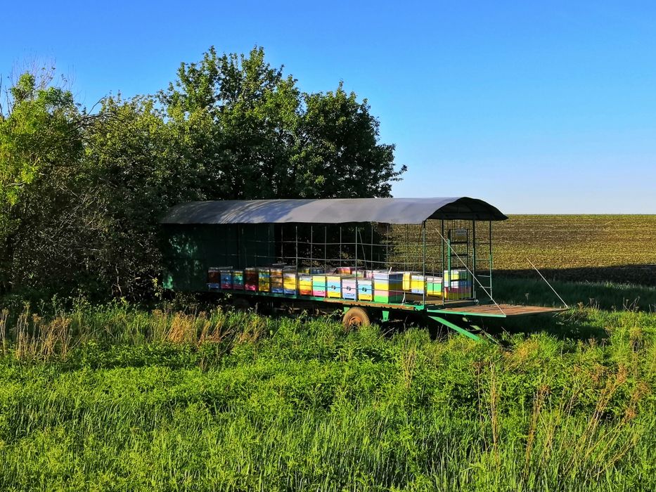 Прицеп для перевозки пчел