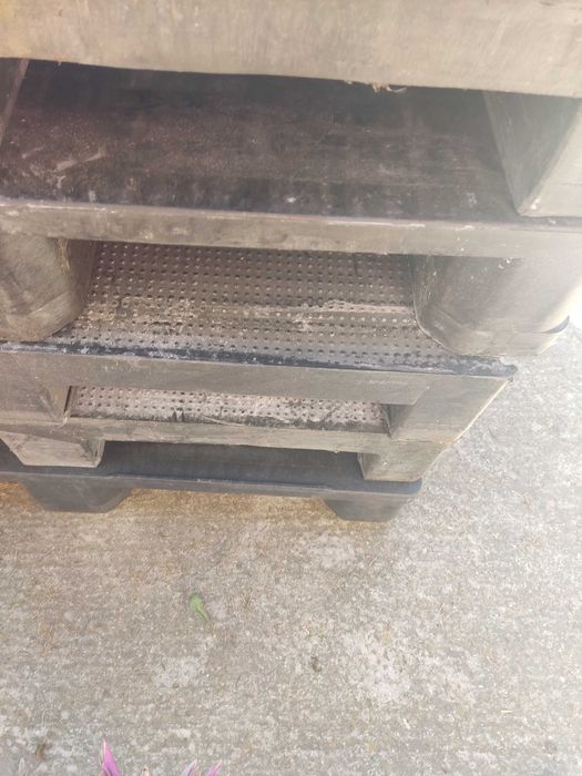 Palety plastikowe pełne