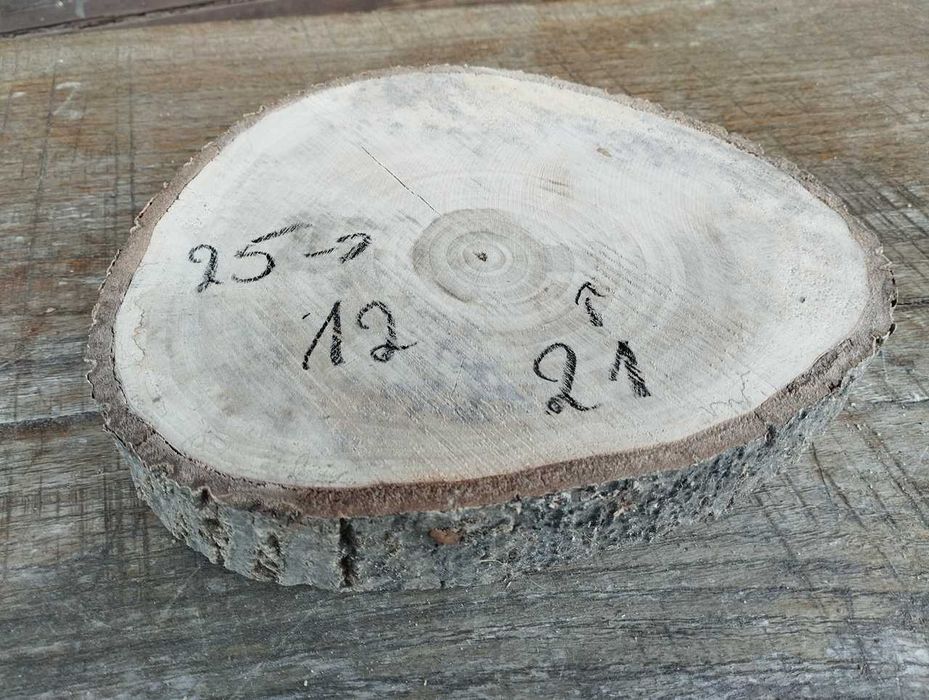 Plaster drewna Ładny Orzech DIY Wybór Sztuki HIT Cena za 3 sztuki