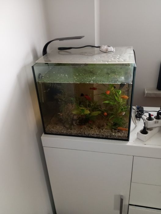 Sprzedam akwarium