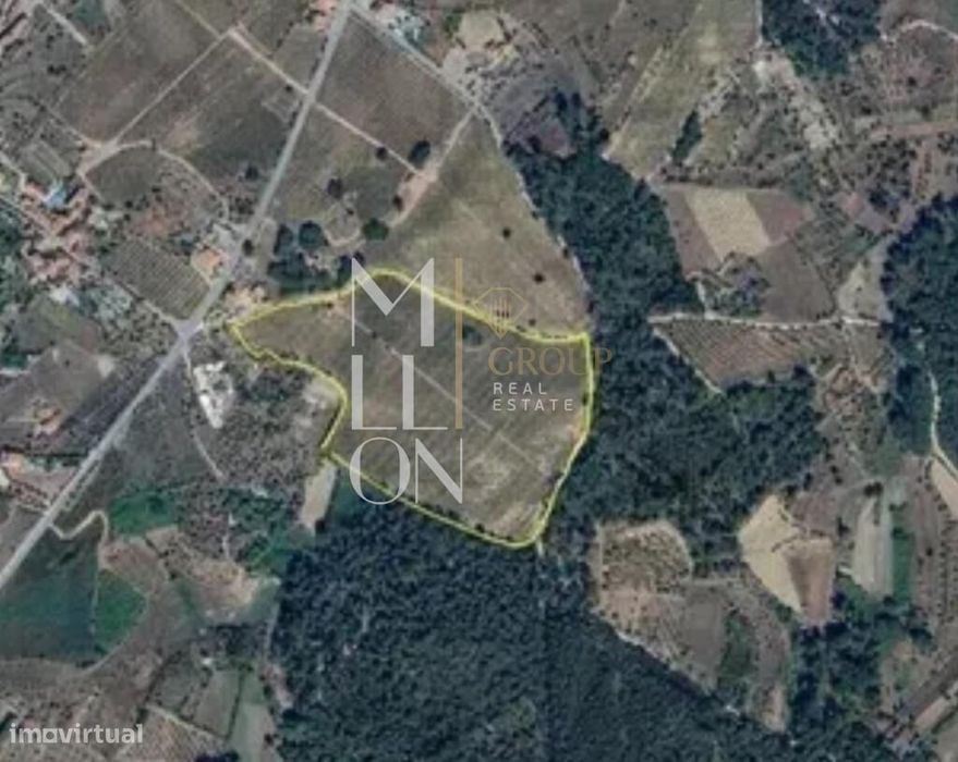 Quinta Vinhateira de Excelência no Coração do Dão
