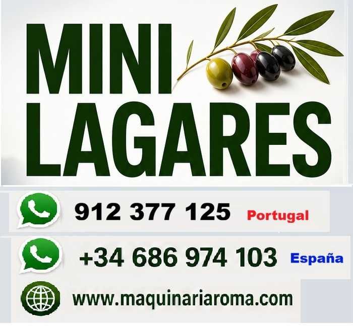Mini lagar
Faça o seu próprio azeite