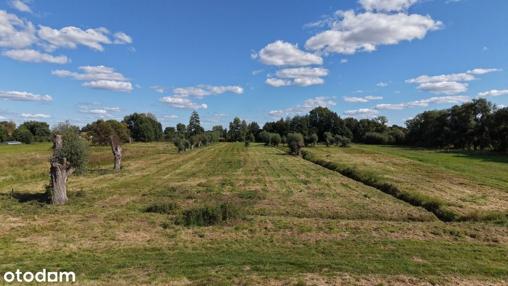 Działka Sprzedaż Kunowo Jezioro Miedwie - bezpośredni dostęp