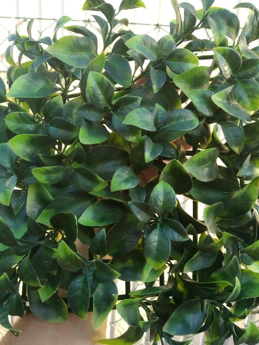 Jardim vertical artificial sem manutenção