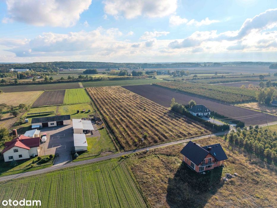 Działka 3188 m² z warunkami zabudowy - Częstoniew, gm. Grójec
