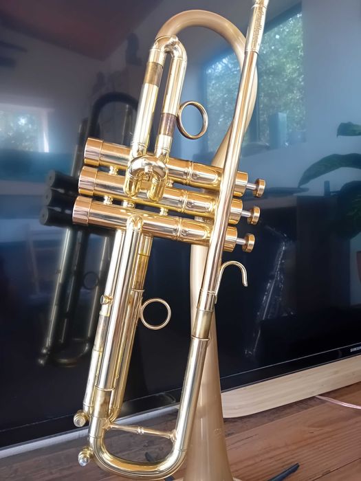 CarolBrass Trombeta Trumpet Dutch Jazz Bastard