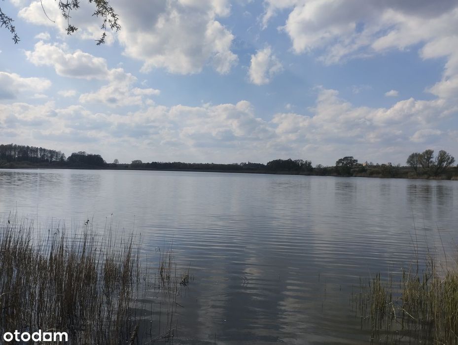 Działka nad jeziorem z linią brzegową jeziora lub dostępem do jeziora