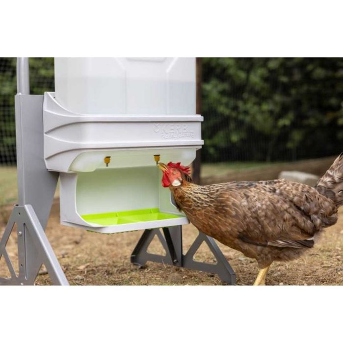 Poidło dla drobiu 10 L SmartCoop