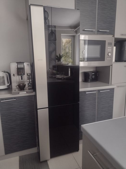 lodówko-zamrażalka Gorenje ora-ito