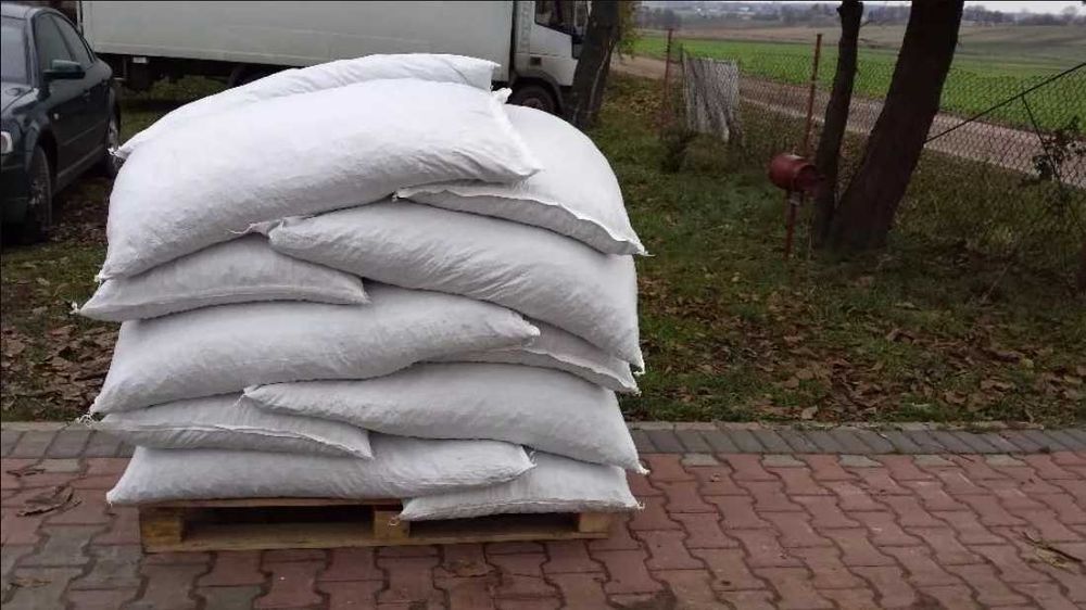 Słonecznik Lucerna Koniczyna Rajgras Rzodkiew Drenarska Życica Tymotka