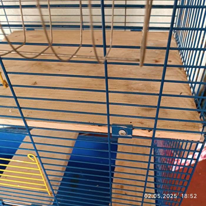 Клітина для гризунів найбільша