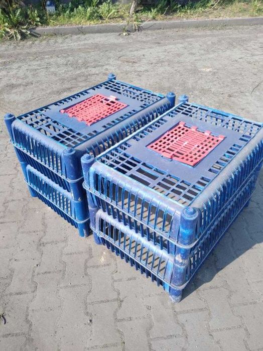 Skrzynki, klatki, pojemniki do transportu drobiu żywego, kur, kaczek