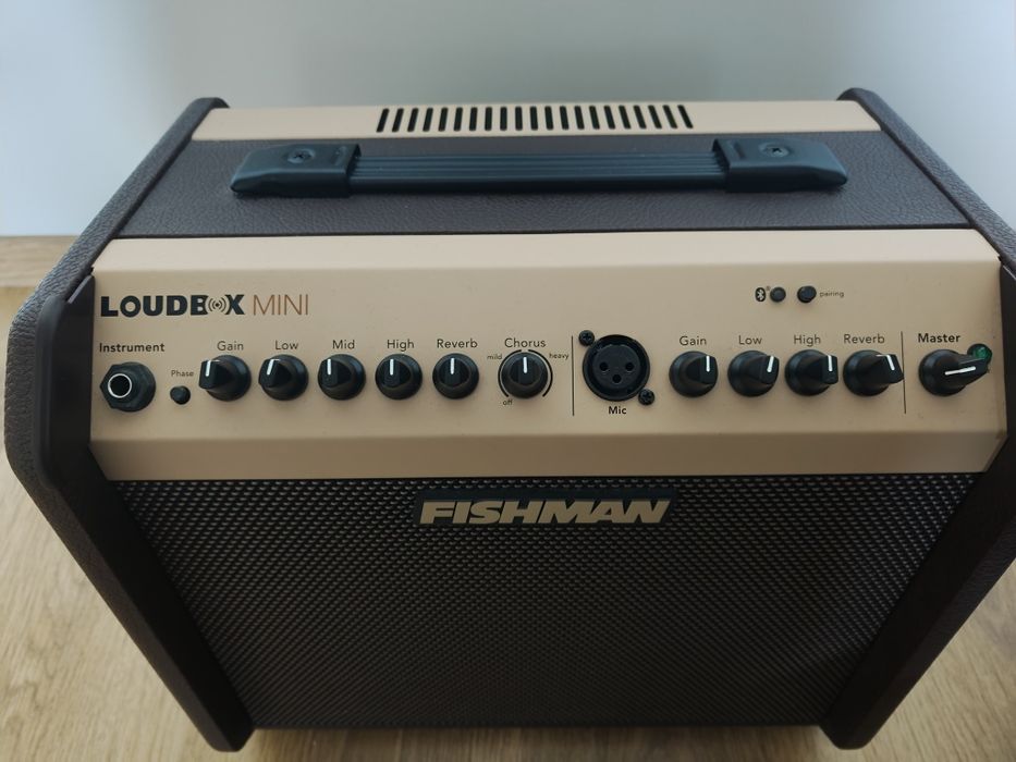 Wzmacniacz akustyczny Fishman Loudbox Mini Bluetooth/Mikrofon