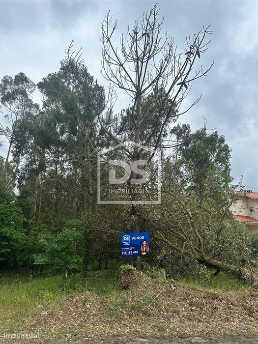 Terreno Rústico  Venda em São Mamede,Batalha — São Mamede, Leiria