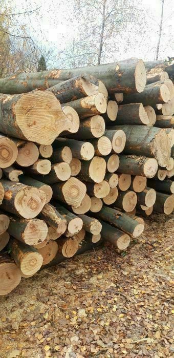 drewno kominkowe i opałowe Bieruń ,Imielin Lędziny