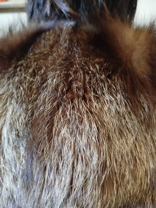 Воротник з чорнобурки