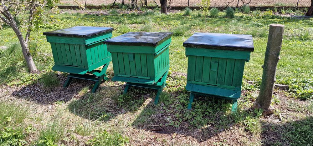 3x ul Wielkopolski, dennica, stojak i daszek, bez korpusu