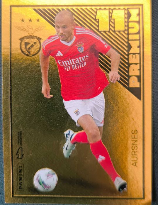 Cromo premium Liga 24/25