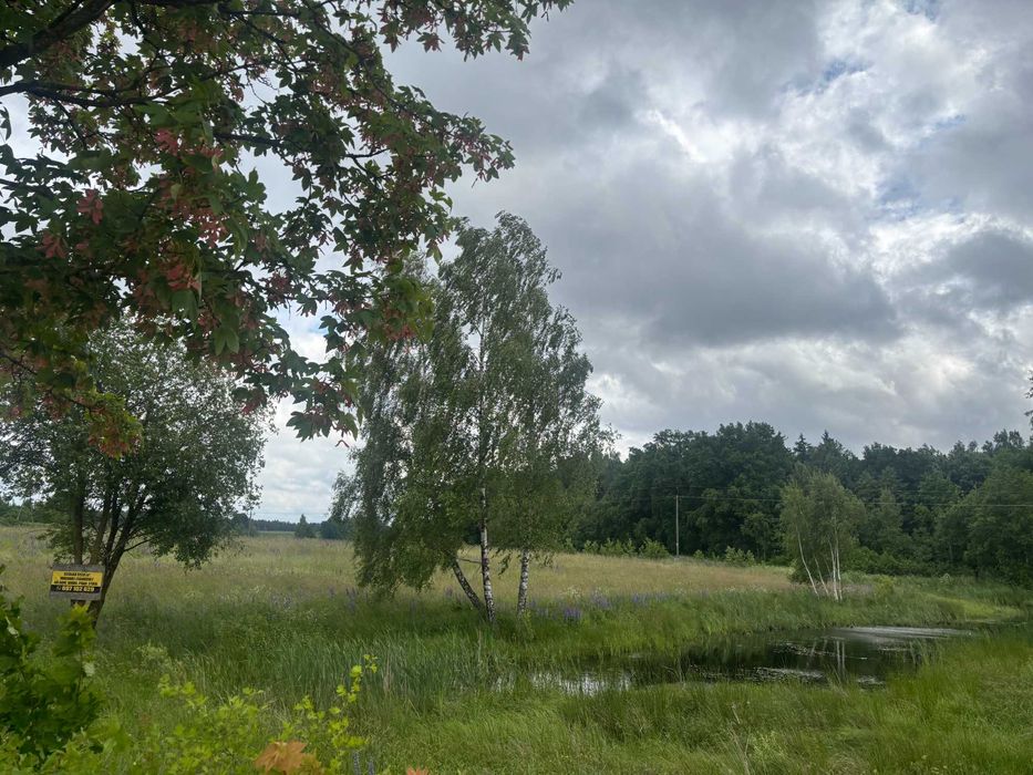 Działka pod dom lub rekreację - rolna z warunkami zabudowy – 6578 m² – Zerbuń, gm. Jeziorany (okolica Olsztyna i Biskupca) - Widok 4