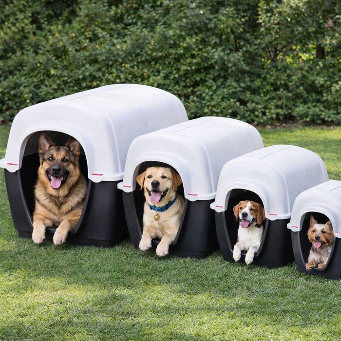 NOVO! Casota Plástica para Cão Resistente Exterior