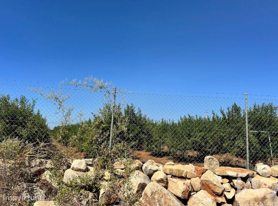 Terreno em Luz de Tavira e Santo Estêvão de 5570,00 m2