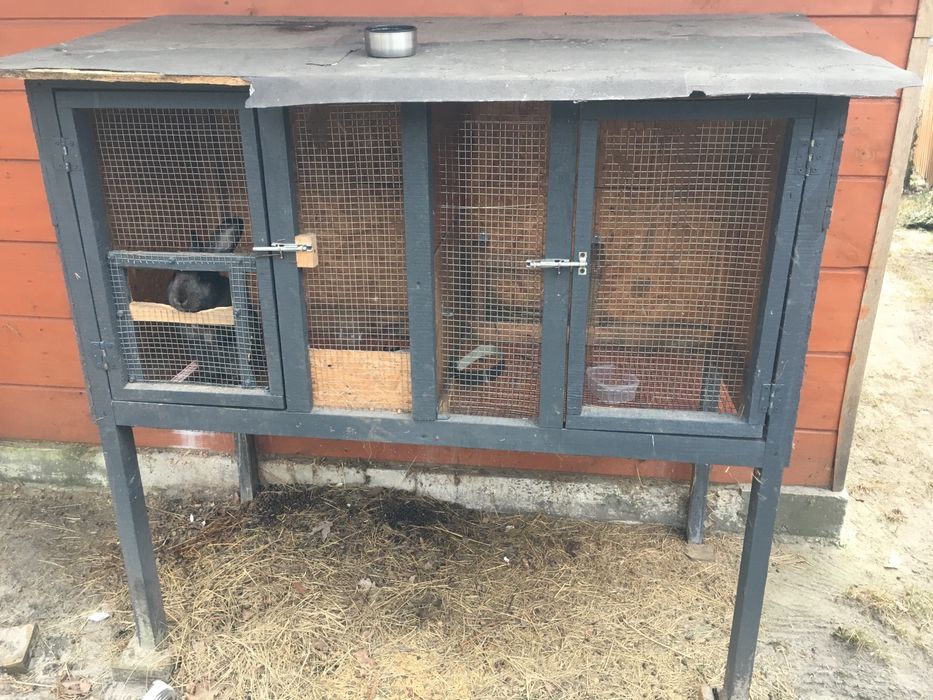 Клітка для кролів