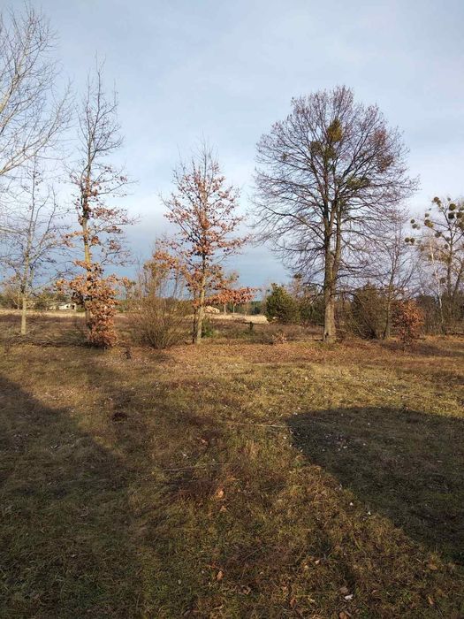 Будинок с.Копилля