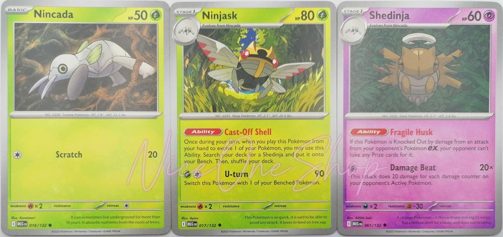 MEG (Mega Evolution) | Nincada 016/132 (Common) + Ninjask 017/132 (Uncommon) + Shedinja 061/132 (Uncommon) | Oryginalne karty Pokemon TCG
