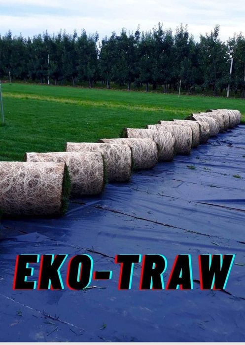 Trawnik z rolki  na folii darń trawa