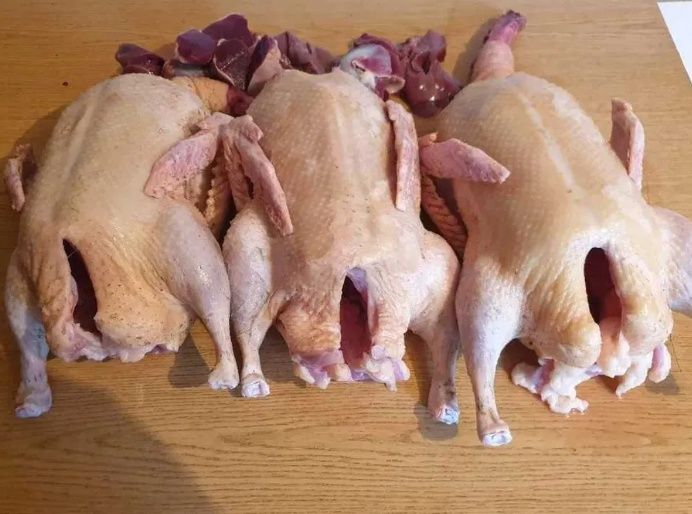 Sprzedam kaczki Tuszki i królika tuszk