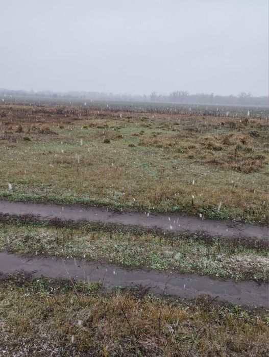 Продається половина будинку Селище Миколаївка