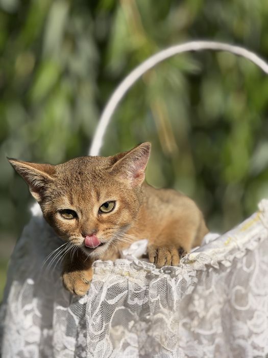 Малюк чекає на люблячу матусю