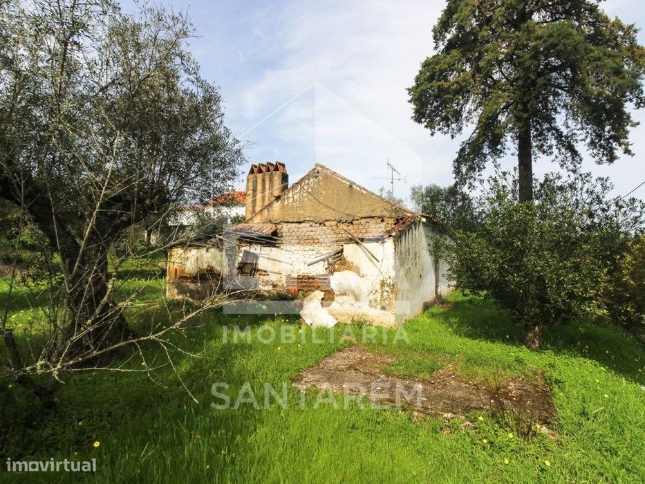 Terreno com cerca de 1 Hectare