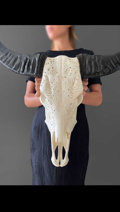 Crânio de búfalo esculpido à mão